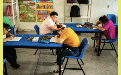 Choosing the Right School: Options for Children with Disabilities in Australia